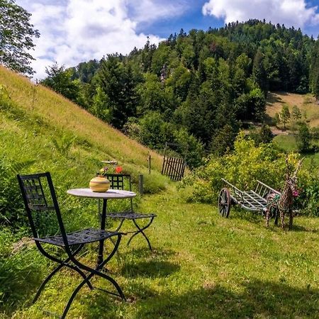 Ferienwohnung Teich 11 Gutenbach 외부 사진