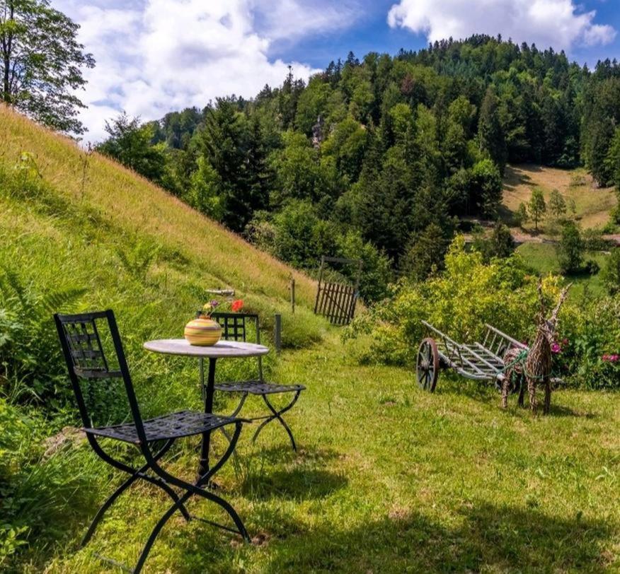 Ferienwohnung Teich 11 Gutenbach 외부 사진