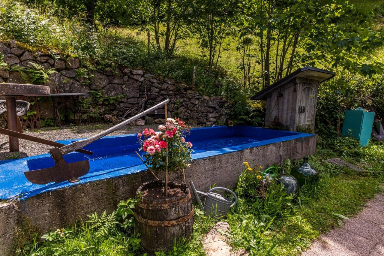 Ferienwohnung Teich 11 Gutenbach 외부 사진